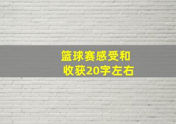 篮球赛感受和收获20字左右