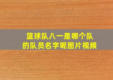 篮球队八一是哪个队的队员名字呢图片视频