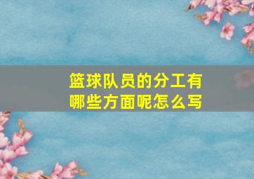 篮球队员的分工有哪些方面呢怎么写