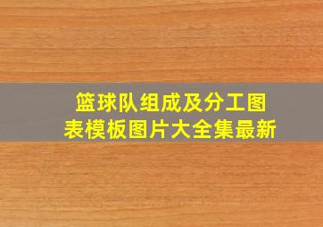 篮球队组成及分工图表模板图片大全集最新