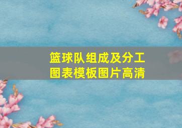 篮球队组成及分工图表模板图片高清