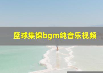 篮球集锦bgm纯音乐视频