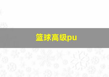 篮球高级pu