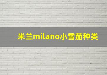 米兰milano小雪茄种类