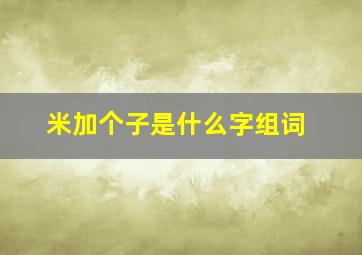 米加个子是什么字组词