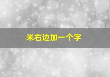 米右边加一个字