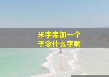 米字旁加一个子念什么字啊