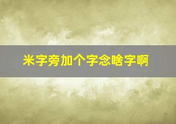 米字旁加个字念啥字啊