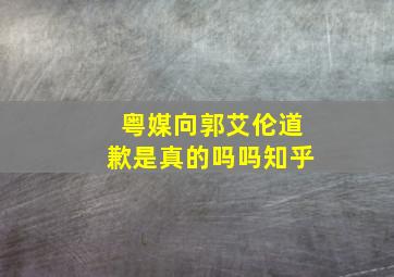 粤媒向郭艾伦道歉是真的吗吗知乎