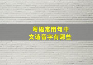 粤语常用句中文谐音字有哪些