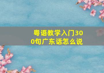 粤语教学入门300句广东话怎么说