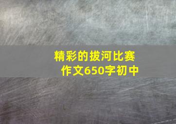 精彩的拔河比赛作文650字初中