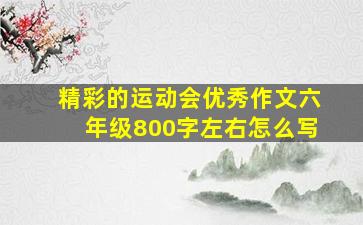 精彩的运动会优秀作文六年级800字左右怎么写