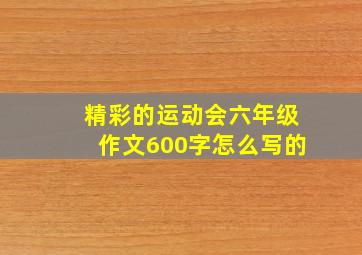 精彩的运动会六年级作文600字怎么写的