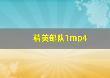 精英部队1mp4