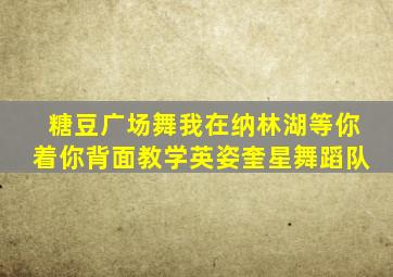 糖豆广场舞我在纳林湖等你着你背面教学英姿奎星舞蹈队