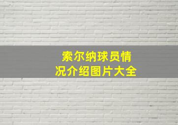 索尔纳球员情况介绍图片大全