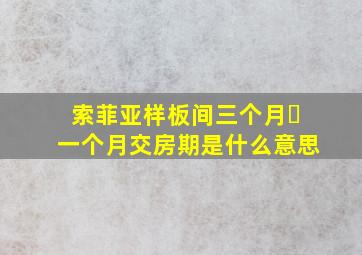 索菲亚样板间三个月➕一个月交房期是什么意思