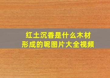 红土沉香是什么木材形成的呢图片大全视频