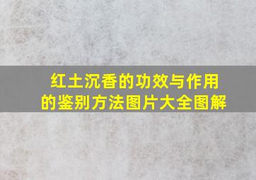 红土沉香的功效与作用的鉴别方法图片大全图解