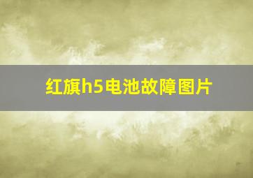 红旗h5电池故障图片