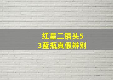 红星二锅头53蓝瓶真假辨别