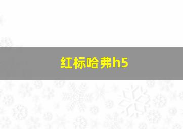 红标哈弗h5