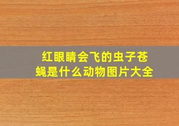 红眼睛会飞的虫子苍蝇是什么动物图片大全