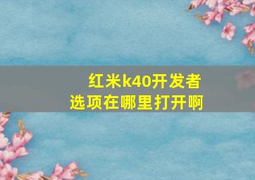 红米k40开发者选项在哪里打开啊