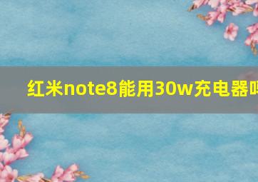 红米note8能用30w充电器吗