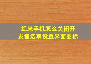 红米手机怎么关闭开发者选项设置界面图标