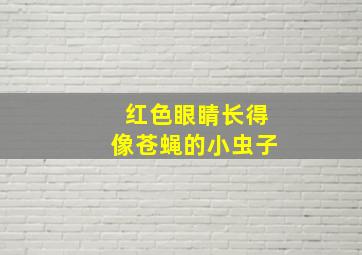 红色眼睛长得像苍蝇的小虫子