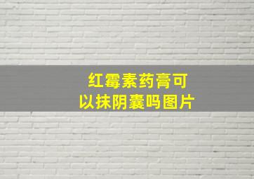 红霉素药膏可以抹阴囊吗图片