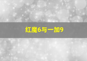 红魔6与一加9