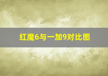 红魔6与一加9对比图