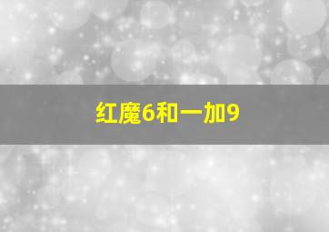 红魔6和一加9