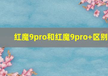 红魔9pro和红魔9pro+区别