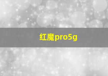 红魔pro5g