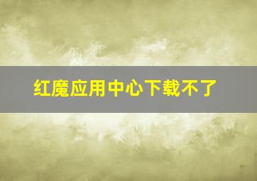 红魔应用中心下载不了