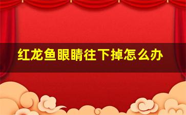 红龙鱼眼睛往下掉怎么办