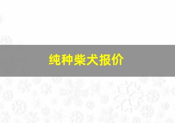 纯种柴犬报价