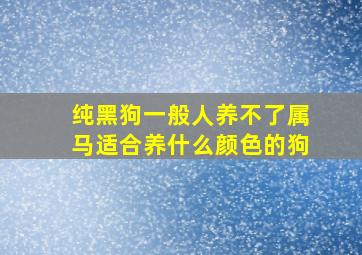 纯黑狗一般人养不了属马适合养什么颜色的狗