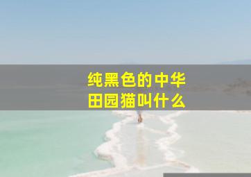 纯黑色的中华田园猫叫什么