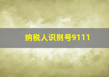 纳税人识别号9111