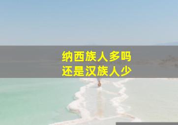 纳西族人多吗还是汉族人少