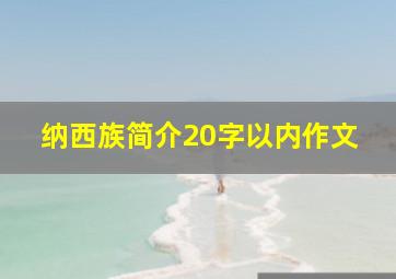 纳西族简介20字以内作文