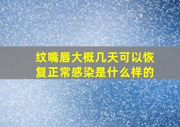 纹嘴唇大概几天可以恢复正常感染是什么样的