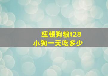 纽顿狗粮t28小狗一天吃多少