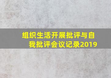 组织生活开展批评与自我批评会议记录2019