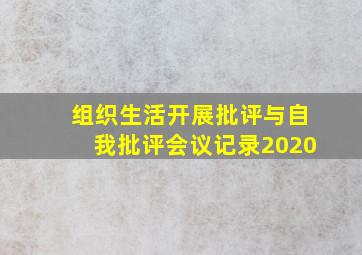 组织生活开展批评与自我批评会议记录2020